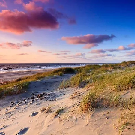 Villa Near The Beach Wassenaar